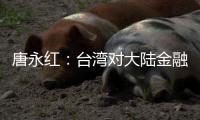 唐永红：台湾对大陆金融依赖度过高了吗？